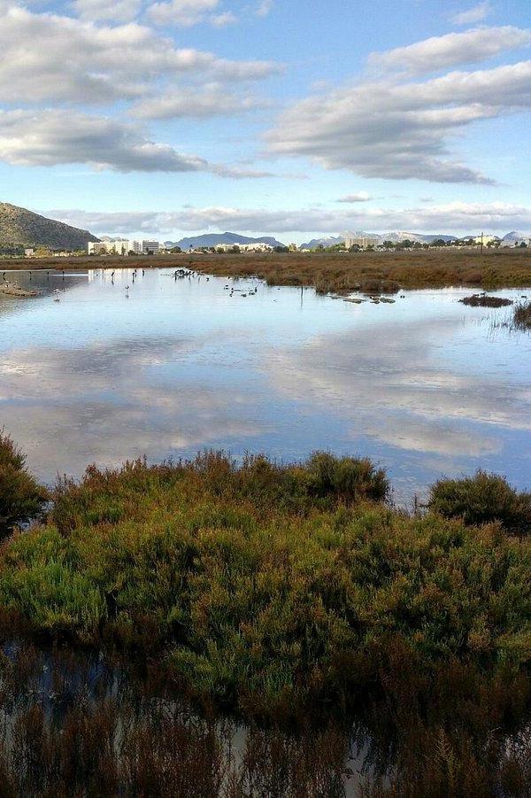 Naturpark S'Albufera
